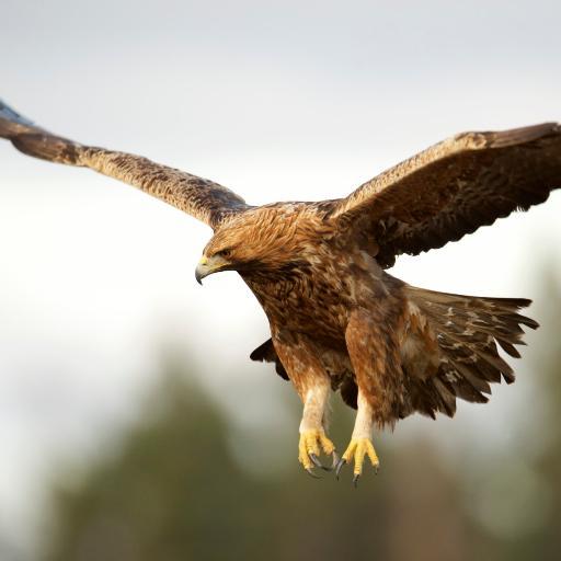 HarunJa1's profile picture. Focusing on news from #Israel #Gaza #Palestine #Lebanon #Egypt #IslamicState etc.