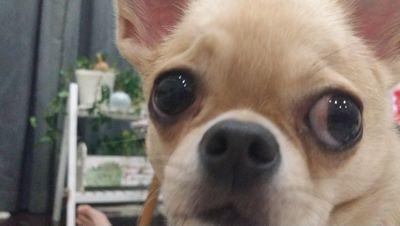 19981226I's profile picture. 蘇原→加納1-1→2-8 ハンドボール部