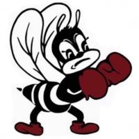 BHS Fighting Bees (@bhsfightingbees) 's Twitter Profile