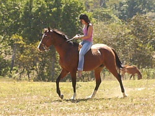 Odontólogo UC... enamora de la vida y de mi familia.... y una venezolana mas que lucha por un pais mejor! :-)