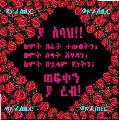 ayub72401579's profile picture. 