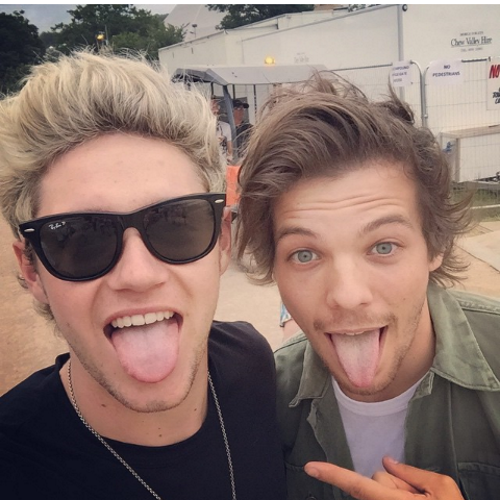 ONED 5SOS ED SHEERAN BMTH LORENZO FRAGOLAAA idols Larry