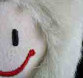 puffbohne_de's profile picture. 