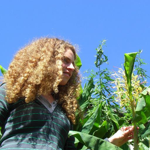 Invasive species scientist at CABI