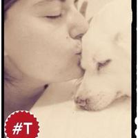 loreto ochando (@loretoochando) 's Twitter Profile Photo loreto ochando (@loretoochando) 's Twitter Profile Photo