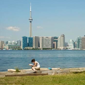 financialbtc's profile picture. 