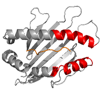 Parham Lab (@parhamlab) 's Twitter Profile