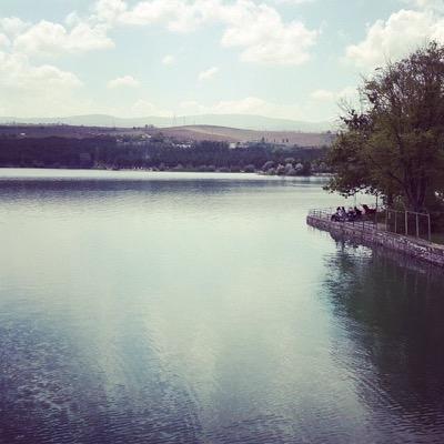 AlahmariFaysa's profile picture. 