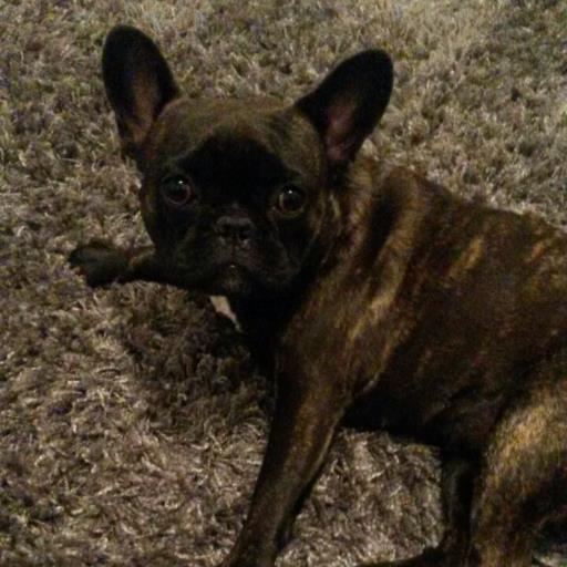 abesty's profile picture. 