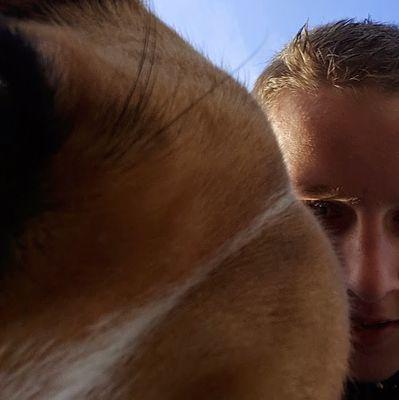 Vbos66's profile picture. 