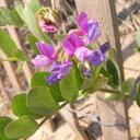 Lee Donohue - @villagetwit - Twitter