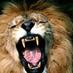 Salem Lions (@lionsathdept) Twitter profile photo Salem Lions (@lionsathdept) Twitter profile photo