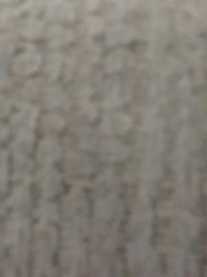 sambadatqr's profile picture. 