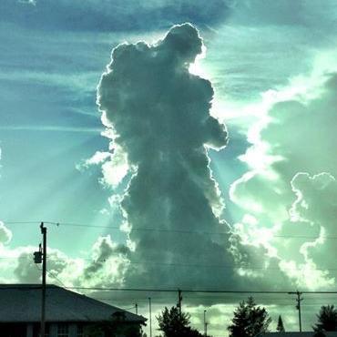 Baychampions's profile picture. If you think it, is a dream. If you envision it, is possible. If you schedule it, it becomes reality!!!