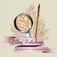 Ellen Hutchins Festival(@hutchins_ellen) 's Twitter Profile Photo