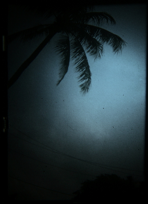 gc71's profile picture. ~