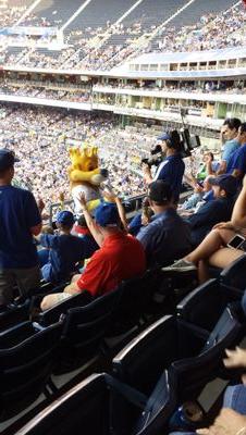 Royals, Chiefs and Mizzou Tiger fan.