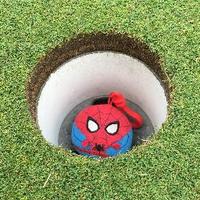 Spider Sphere(@Spider_Sphere) 's Twitter Profile Photo