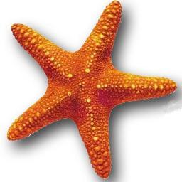 MTorau's profile picture.