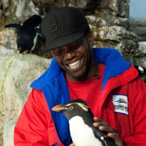 gwel14's profile picture. Salutations to all!