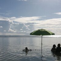 Mitzy Pérez (@greenculebra) 's Twitter Profile