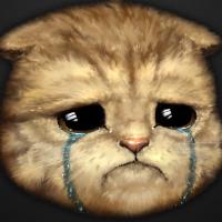 SadCat (@thedemonicbrain) 's Twitter Profile
