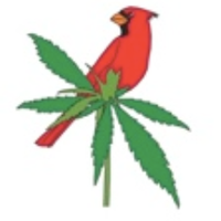 Ball State NORML (@ballstatenorml) 's Twitter Profile