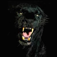 thebboylilrock (@bboylilrock) 's Twitter Profile