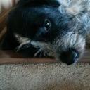 Todd Koehler - @Ping1974 - Twitter