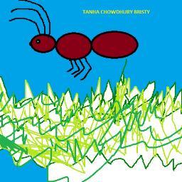 Imran42498's profile picture. 