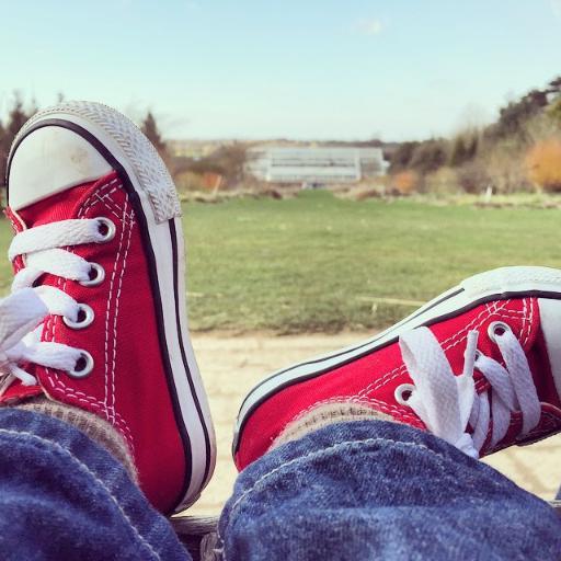 danlewry's profile picture. 