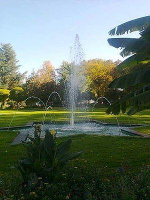 Salonika8's profile picture. 