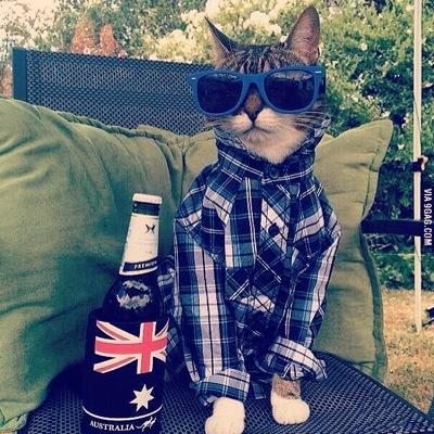 Sudip264's profile picture. 