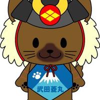武田菱丸【公式】 (@t_hishimaru) 's Twitter Profile
