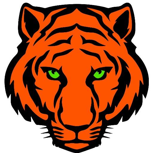 TigersGoalball Profile Picture