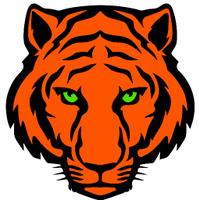 Fen Tigers Goalball(@TigersGoalball) 's Twitter Profile Photo