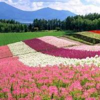 المجروح (@ahmed05908) 's Twitter Profile Photo