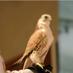 ابوعبدالعزيز (@turki222abo) Twitter profile photo ابوعبدالعزيز (@turki222abo) Twitter profile photo