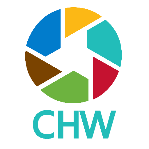 American Public Health Association's CHW Section: seeking to promote the community's voice within the health care system through development of the role of CHWs