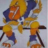 Homer Pelicans (@hhspelsfootball) 's Twitter Profile