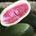 Bradford Watermelons (@bwatermelons) Twitter profile photo Bradford Watermelons (@bwatermelons) Twitter profile photo