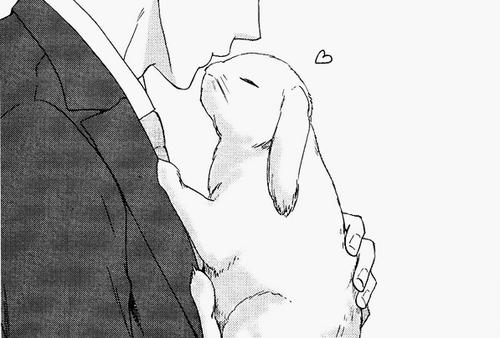 emo_bunny_1's profile picture. at the moment, no-one and nothing gets a straight forward answer from me, its just meh. Don't care what you say, doing it anyway