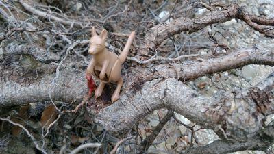 salutlls's profile picture. ensenyar per comprendre i crear