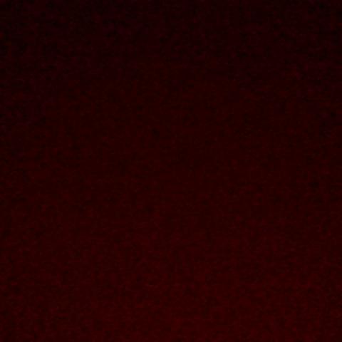 xservecircles's profile picture. 