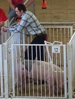 jd432094's profile picture. 