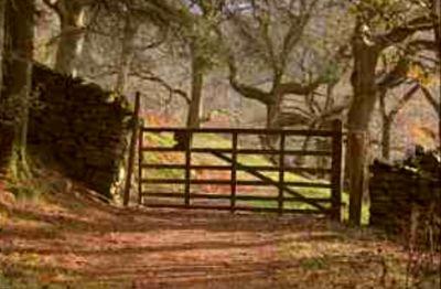 escholme's profile picture. Marketing & comms person. DipCIPR. Specialist in lifestyle products. Also interested in travel, tech, science, nature, literature & wit to name a few!