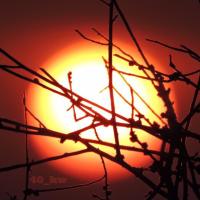 IBRAHIM ALKHAMIS (@40_kw) 's Twitter Profile Photo IBRAHIM ALKHAMIS (@40_kw) 's Twitter Profile Photo
