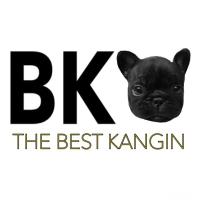 The Best Kangin(@thebestkangin) 's Twitter Profile Photo