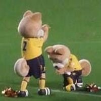 ぬま (@numaunited) 's Twitter Profile