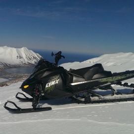 Svalur6's profile picture. 